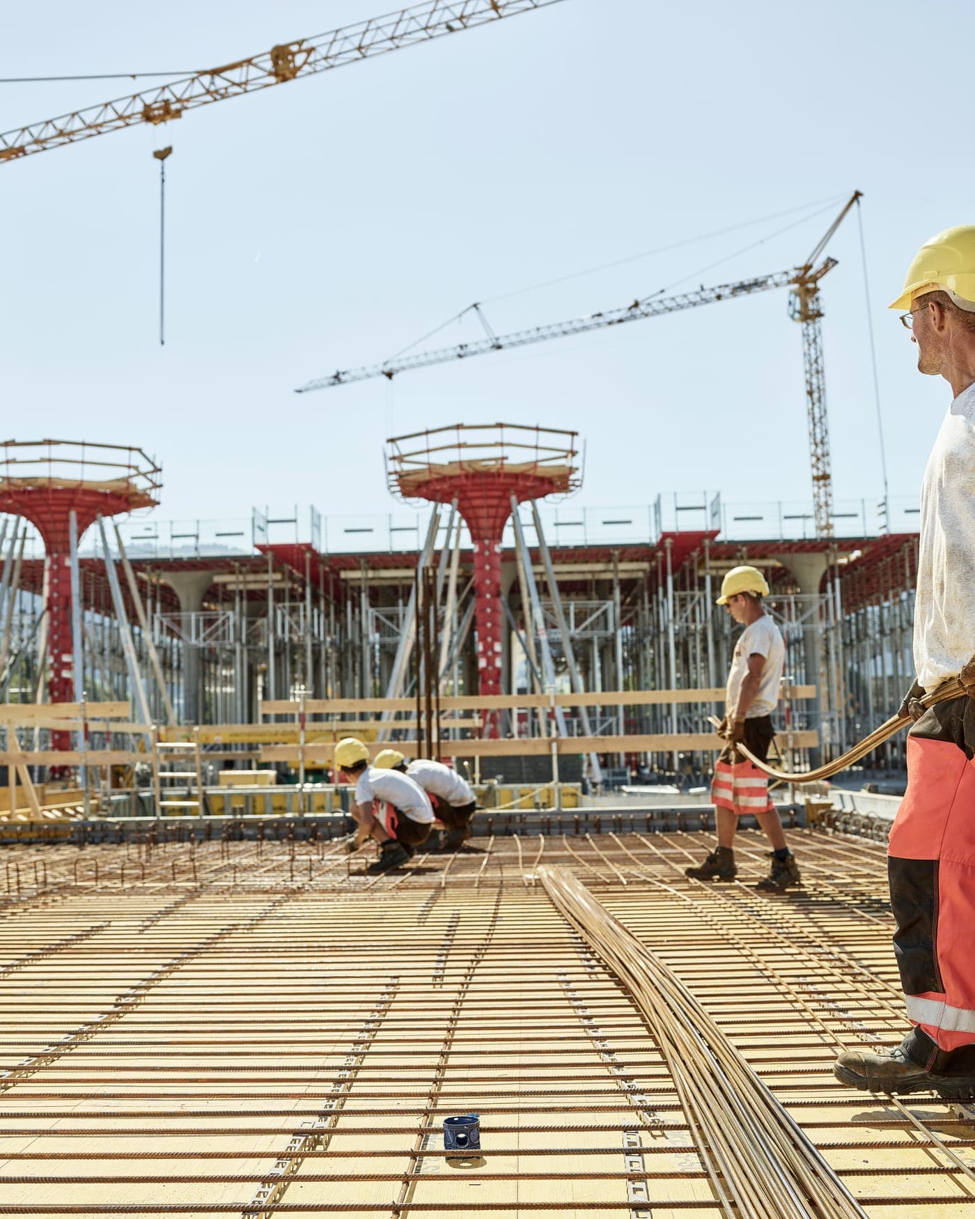 Reinforcement bars laid across a slab deck with formwork towers and tower cranes behind
